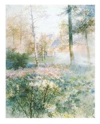Bosque de San Isidro