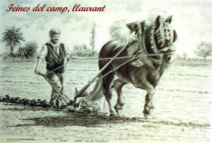 3. Llaurant