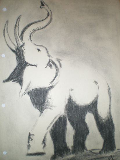 Elefante Charcoal