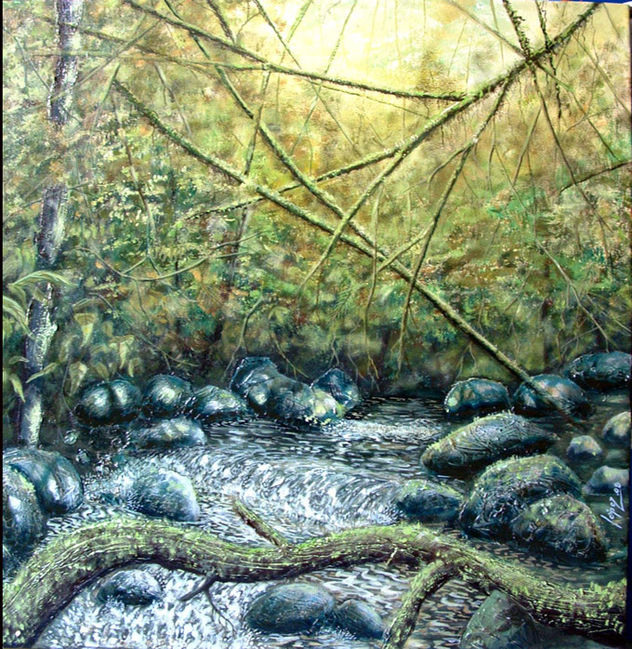rio chucuvi