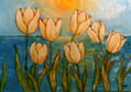 tulipanes al sol