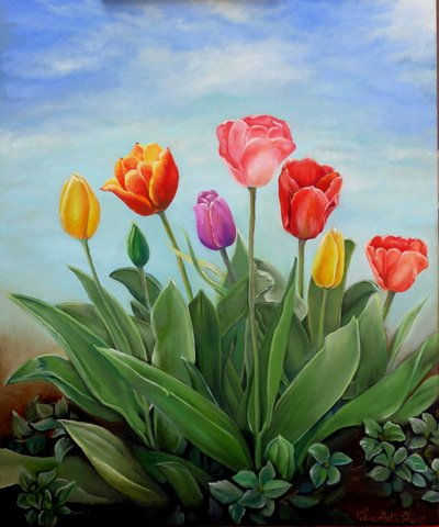 tulipanes para Rosalia y Shanty Oil Canvas Landscaping