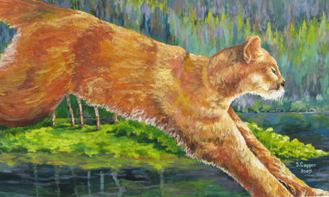 animaladas