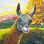 animaladas thumbnail 2