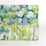 Aquarel.les thumbnail 2