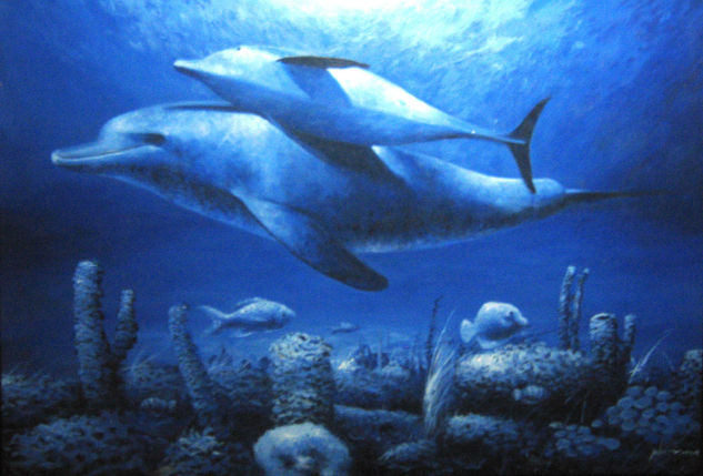 DELFINES Oil Canvas Animals