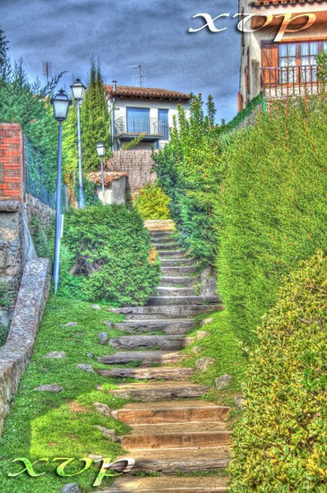 Escalera Other Themes Color (Digital)