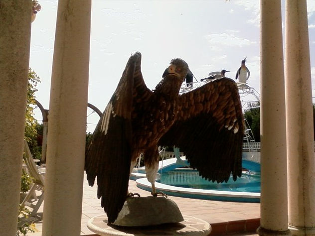 AGUILA REAL