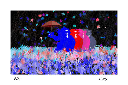 Ape rain