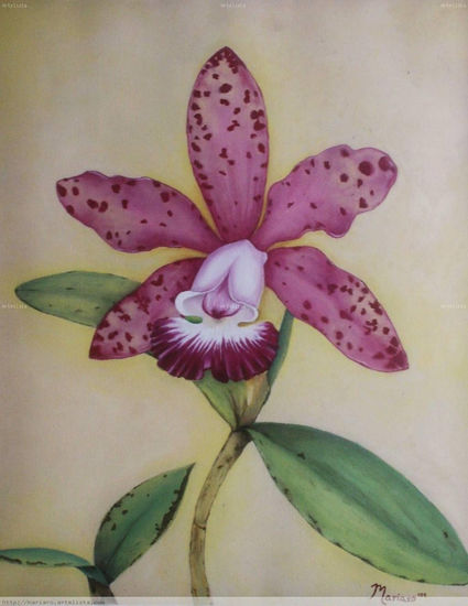 Cattleya Oil Paper Floral Painting