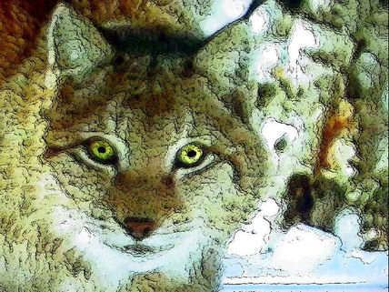 Felino