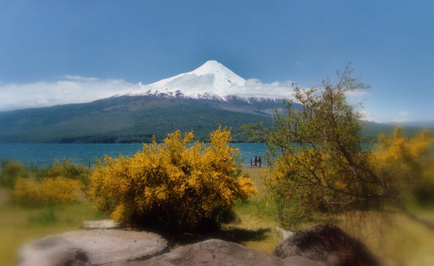 Naturaleza en estado puro