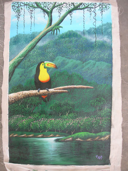 Verdes de costa rica