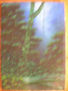 NIEBLA