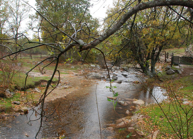 VALLE DEL LOZOYA (Otoño) 