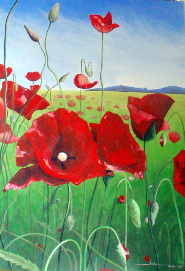 Amapolas I