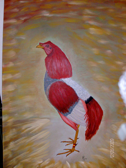Gallo