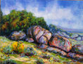 Piedras de la sierra