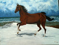 Cabalgando sobre la nieve con el mar de fondo
