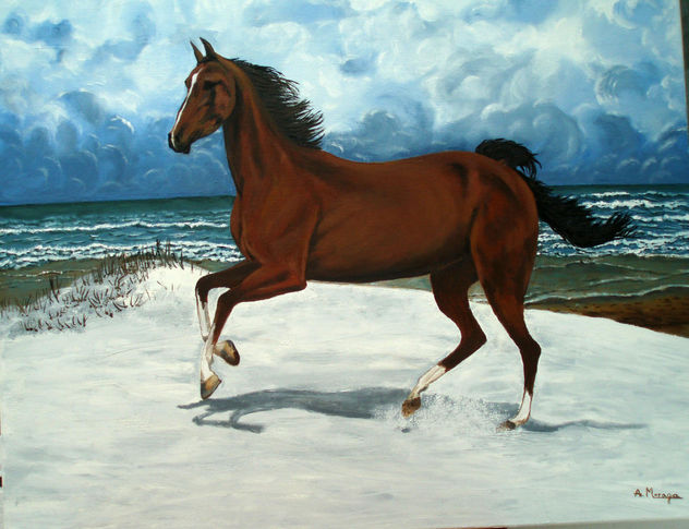 Cabalgando sobre la nieve con el mar de fondo