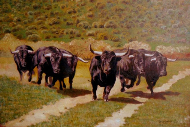 toros 