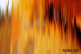 paleta de otoño10