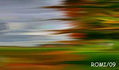 paleta de otoño12