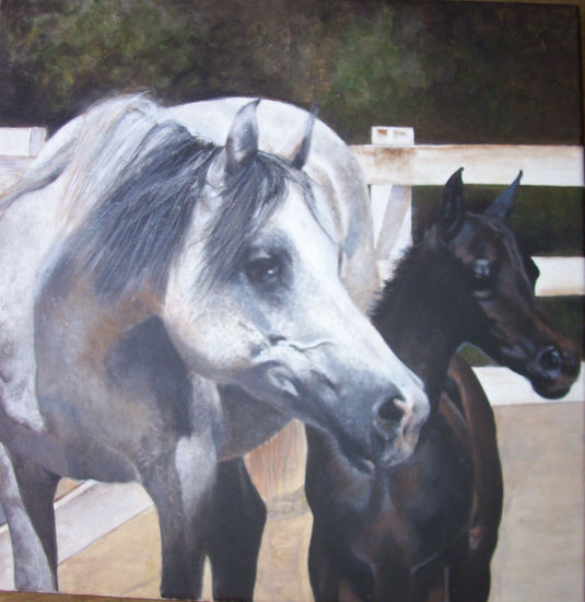 bugatti filly & his mother 