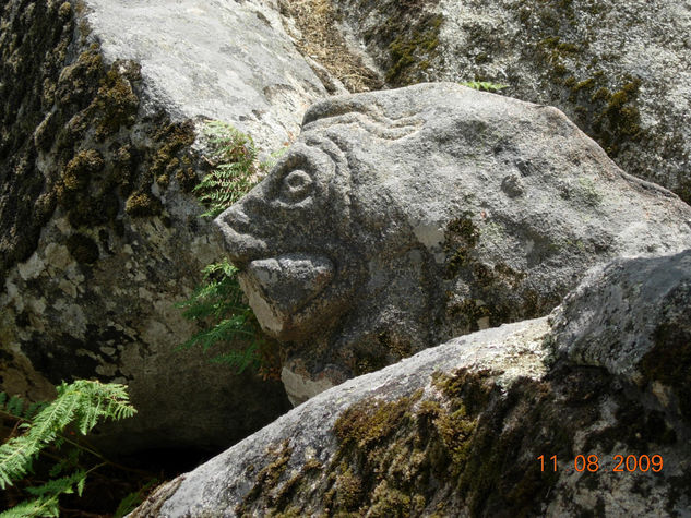 sendero del peñasco 