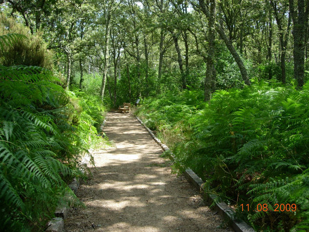 sendero del peñasco 