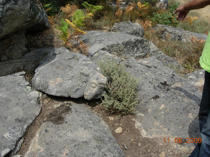 Sendero del peñasco