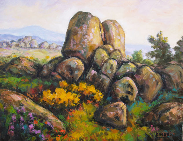 Piedras 