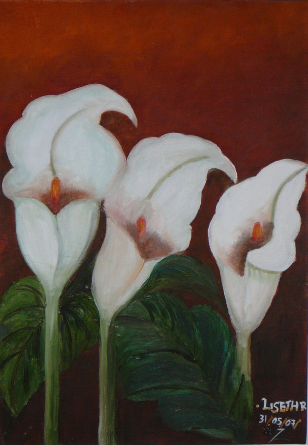 cartuchos