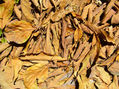 texturas 4
