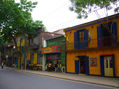 mas color