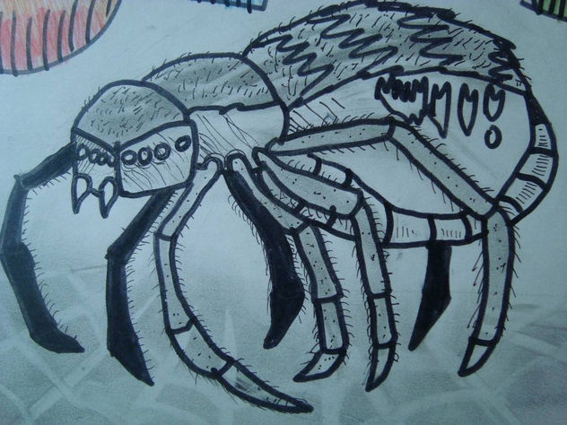 araña