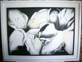 FLORES BLANCAS