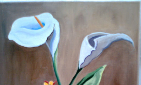 Flores
