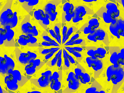Orquidea azul