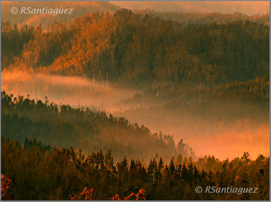 "Solapas"