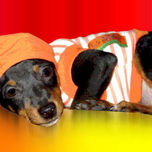 POP ART (figura) thumbnail 2