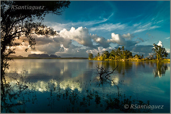 "Viñales, aroma de paraíso" Naturaleza Color (Química)