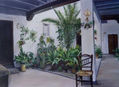mi patio