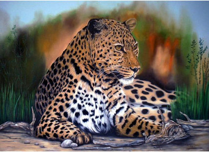 Leopardo