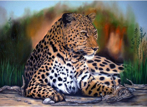 leopardo