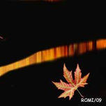 El color en otoño thumbnail 1