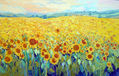 girasoles