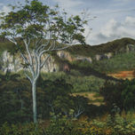 PAISAJES CUBANOS thumbnail 2