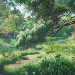 PAISAJES CUBANOS thumbnail 1
