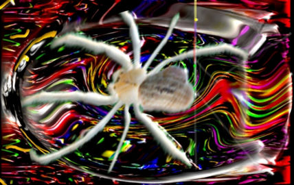 Flor de araña
